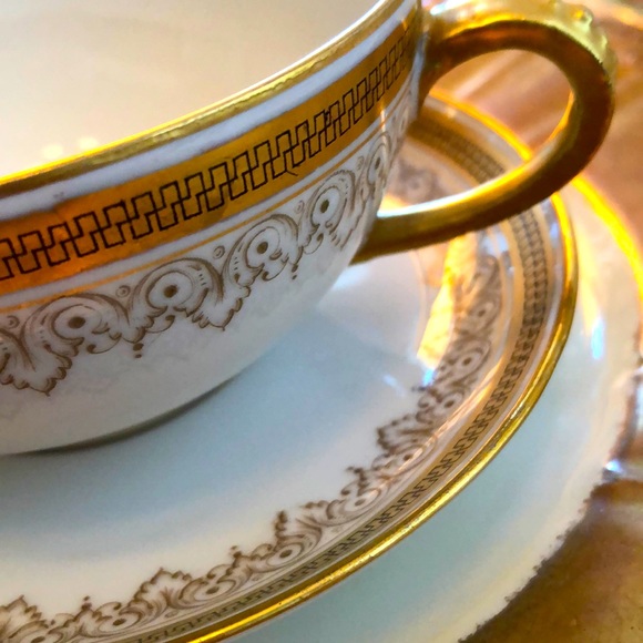 EUC- Pristine PL Limoges France, M. Redon Teacup & Saucer - Picture 4 of 13